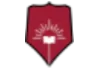 DY patil online University favicon